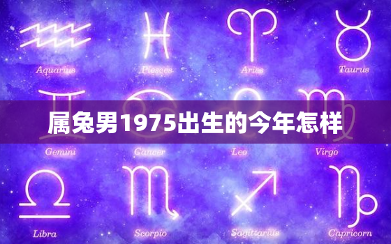 属兔男1975出生的今年怎样，1975属兔男2021年运势及运程算命网