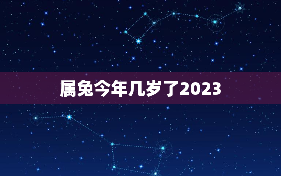 属兔今年几岁了2023，属兔今年几岁了属兔的运势