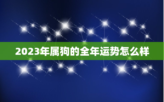 2023年属狗的全年运势怎么样，2023年属狗的运势和财运怎么样