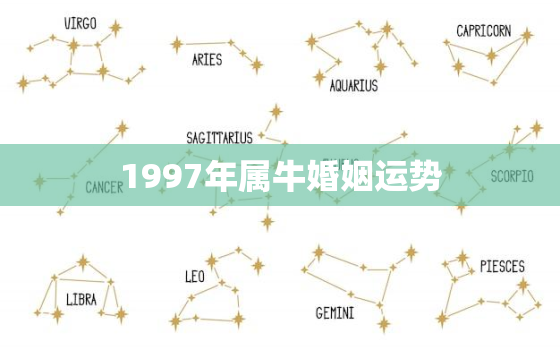 1997年属牛婚姻运势，1997年属牛2021年婚姻状况