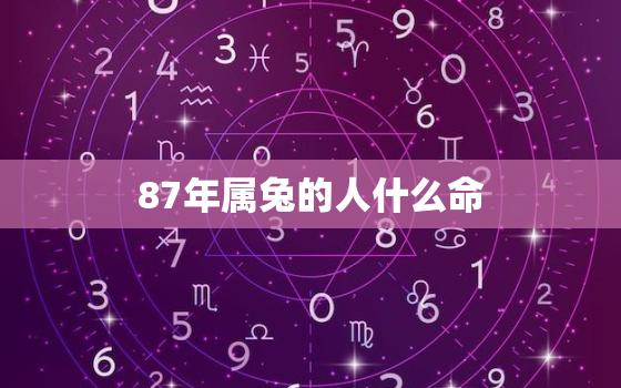 87年属兔的人什么命，87年属啥兔什么命