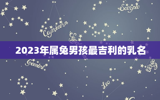 2023年属兔男孩最吉利的乳名，2023年兔宝宝乳名