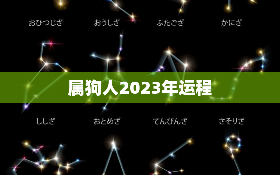 属狗人2023年运程，1970年属狗人2023年运程