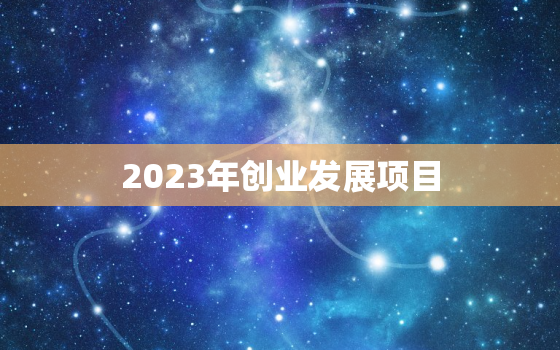 2023年创业发展项目，2030年创业都有什么