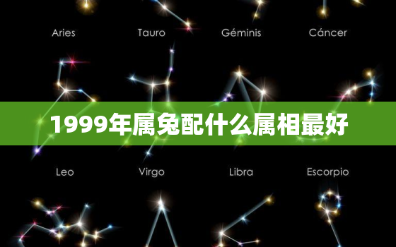 1999年属兔配什么属相最好，1999年属兔和什么配