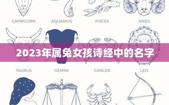 2023年属兔女孩诗经中的名字，兔年女孩取名