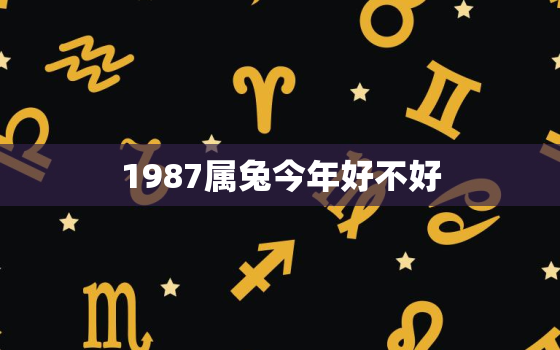 1987属兔今年好不好，1987属兔的人今年要注意三大