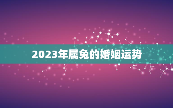 2023年属兔的婚姻运势，2023年属兔人的全年运势详解