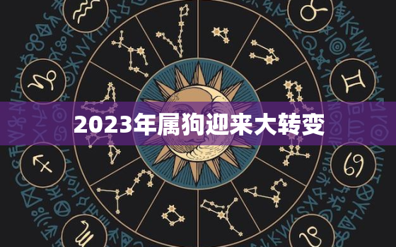 2023年属狗迎来大转变，2023年属狗人的全年运势如何