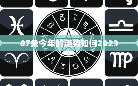 87兔今年的运势如何2023，87属兔今年运势