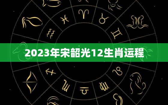 2023年宋韶光12生肖运程，宋韶光2023年运势