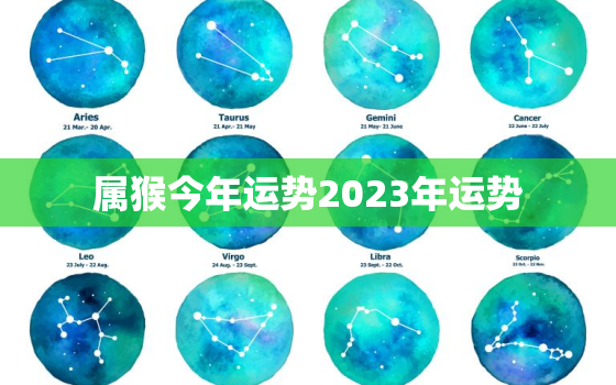 属猴今年运势2023年运势，属猴人今年运势2023年每月运势