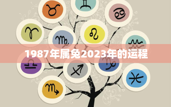 1987年属兔2023年的运程，1987年属兔2023年运势大全