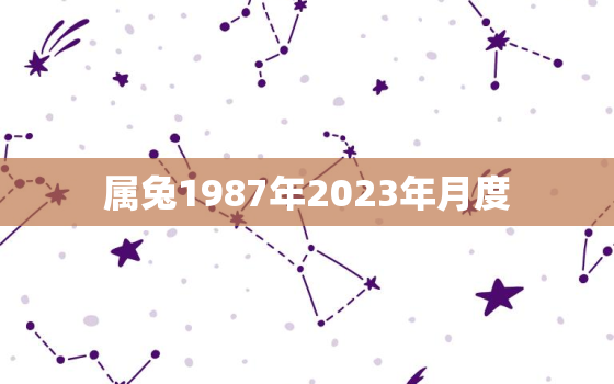 属兔1987年2023年月度，1987年属兔人2023年运势