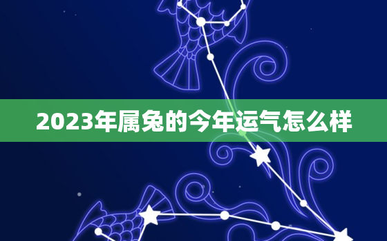 2023年属兔的今年运气怎么样，2023年属兔的人运势