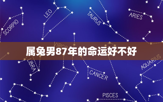 属兔男87年的命运好不好，属兔男87年的命运好不好呢