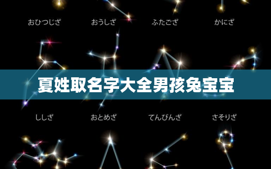 夏姓取名字大全男孩兔宝宝，夏姓取名有内涵的名字男孩