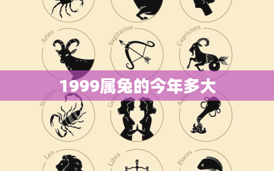 1999属兔的今年多大，属兔1999年是什么命