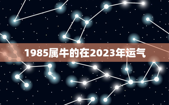 1985属牛的在2023年运气，1985牛年2023年运势及运程