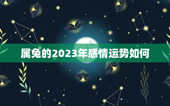 属兔的2023年感情运势如何，属兔2023年运势及运程_2023年属兔人的全年运势