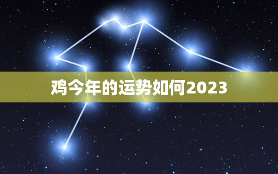 鸡今年的运势如何2023，属鸡运势2023年运势详解