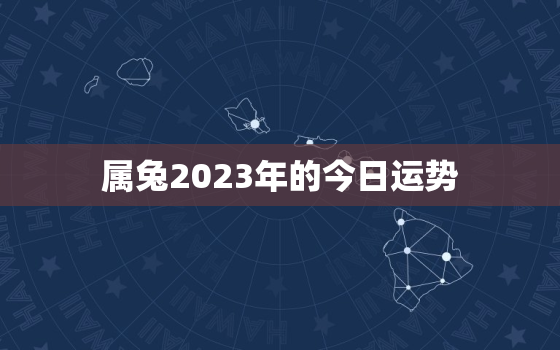 属兔2023年的今日运势，属兔2023年的今日运势及运程