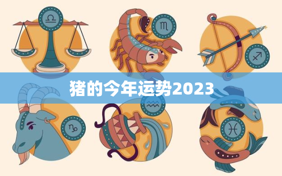 猪的今年运势2023，猪的今年运势与与财运2020年