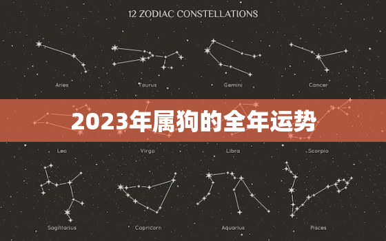 2023年属狗的全年运势，2024年属虎的全年运势