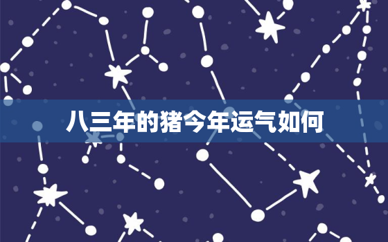 八三年的猪今年运气如何，八三年的猪财运怎么样