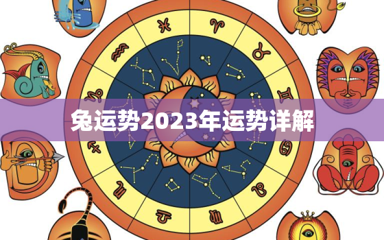 兔运势2023年运势详解，2023年属兔人的运势