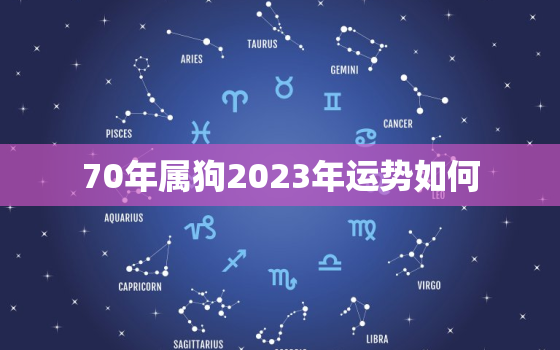 70年属狗2023年运势如何，70年狗2023年的运势及运程