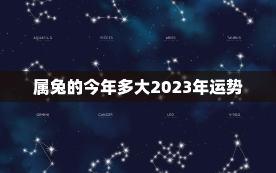 属兔的今年多大2023年运势，属兔的今年2021年多少岁