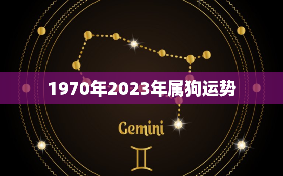 1970年2023年属狗运势，70年属狗2023年运势及运程每月运程