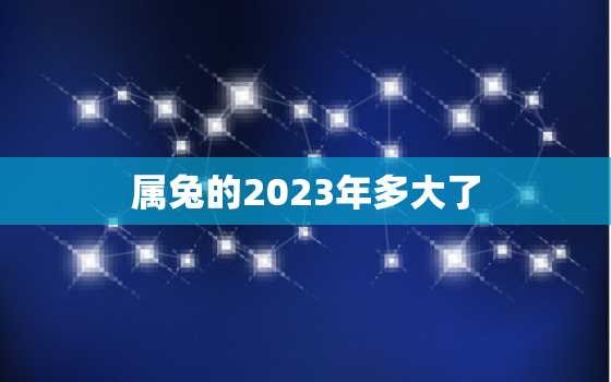 属兔的2023年多大了，51年属兔的2023年多大了