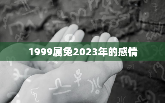 1999属兔2023年的感情，1999年属兔2023年的运势