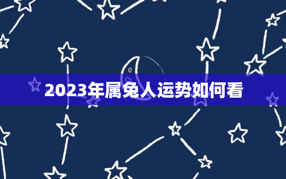 2023年属兔人运势如何看，2023年属兔人运势如何看呢