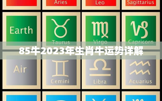 85牛2023年生肖牛运势详解，1985属牛人2023年全年运势