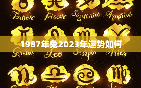 1987年兔2023年运势如何，1987年属兔2023年