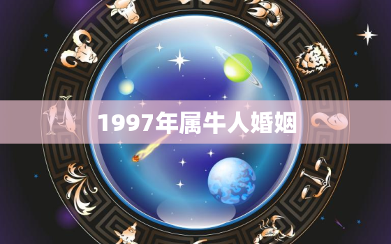 1997年属牛人婚姻，1997年属牛婚姻与命运