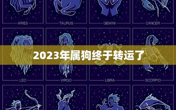 2023年属狗终于转运了，2023年属狗的全年运势详解