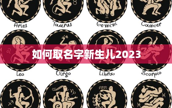 如何取名字新生儿2023，2020年新生儿取名字