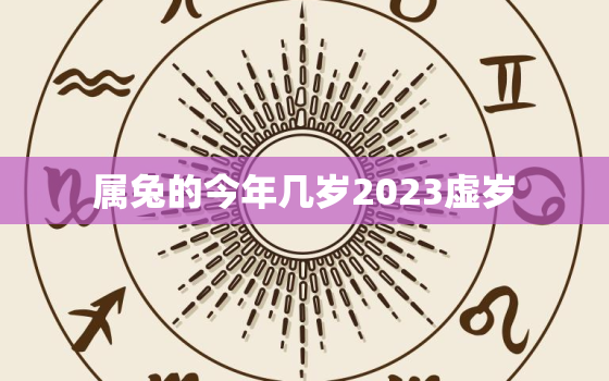 属兔的今年几岁2023虚岁，属兔的今年几岁2021