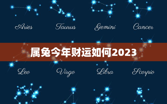 属兔今年财运如何2023，属兔今年的财运