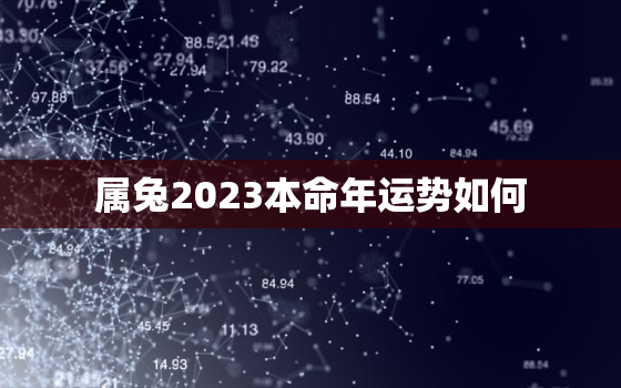 属兔2023本命年运势如何，属兔本命年2023年