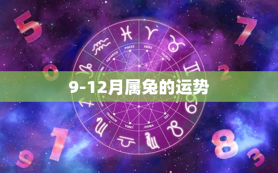 9-12月属兔的运势，属兔人9月到12月