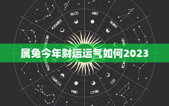 属兔今年财运运气如何2023，属兔人今年运势2023年每月运势