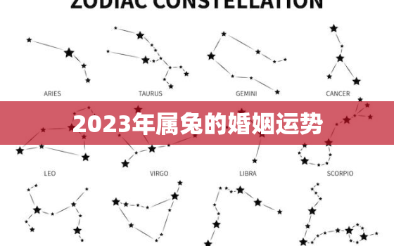 2023年属兔的婚姻运势，2023年属兔人的命运