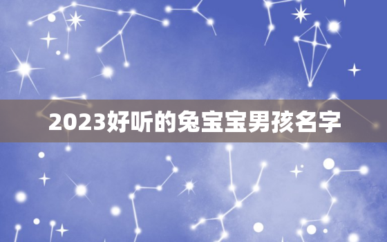 2023好听的兔宝宝男孩名字，2023年兔宝宝取名字最佳字