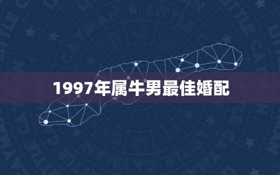 1997年属牛男最佳婚配，几月出生的牛最苦