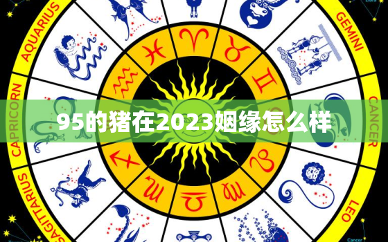 95的猪在2023姻缘怎么样，95属猪人2023年运势运程每月运程